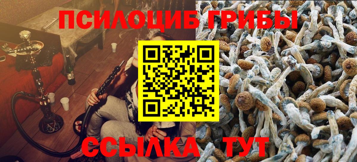 Галлюциногенные грибы Magic Shrooms Ипатово