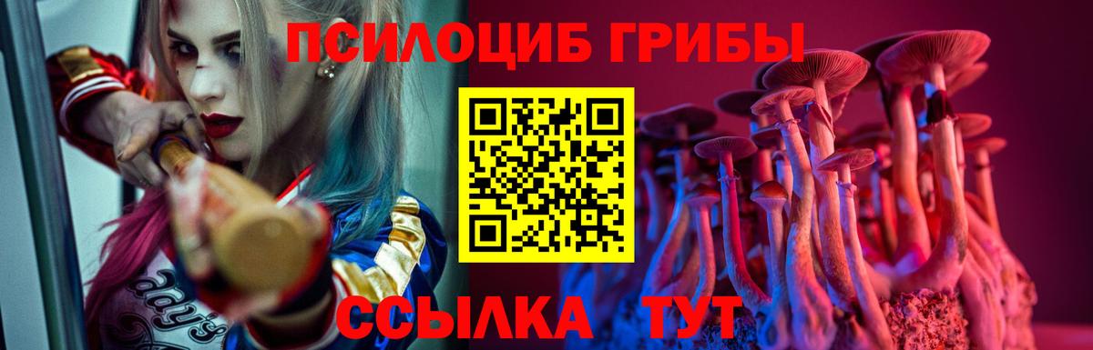Галлюциногенные грибы Psilocybine cubensis  Псилоцибиновые грибы Psilocybe  Вход с VPN  Ипатово 